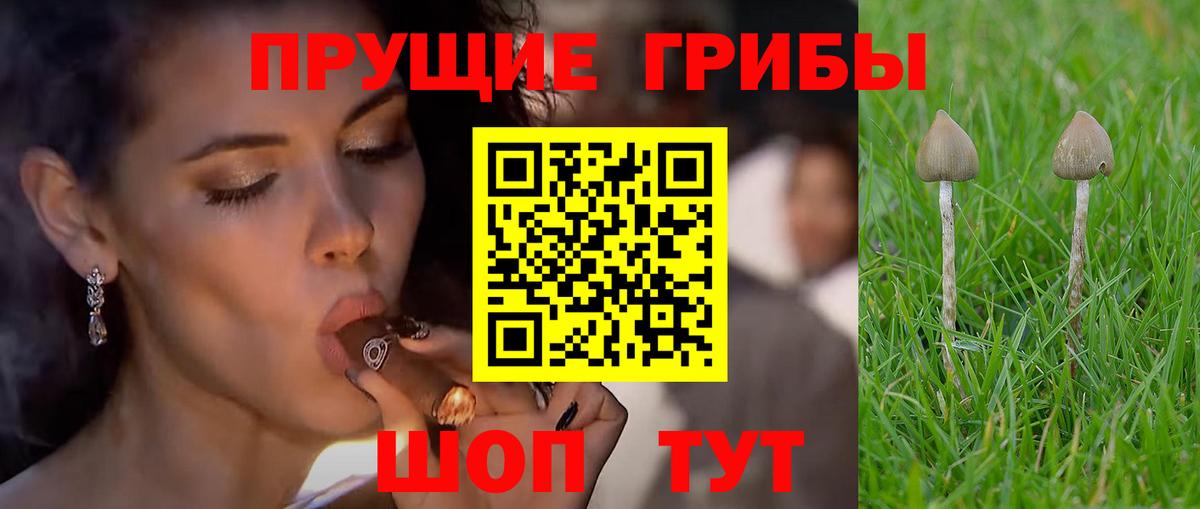 наркошоп  Псилоцибиновые грибы прущие грибы  Вход с VPN  Петрозаводск 